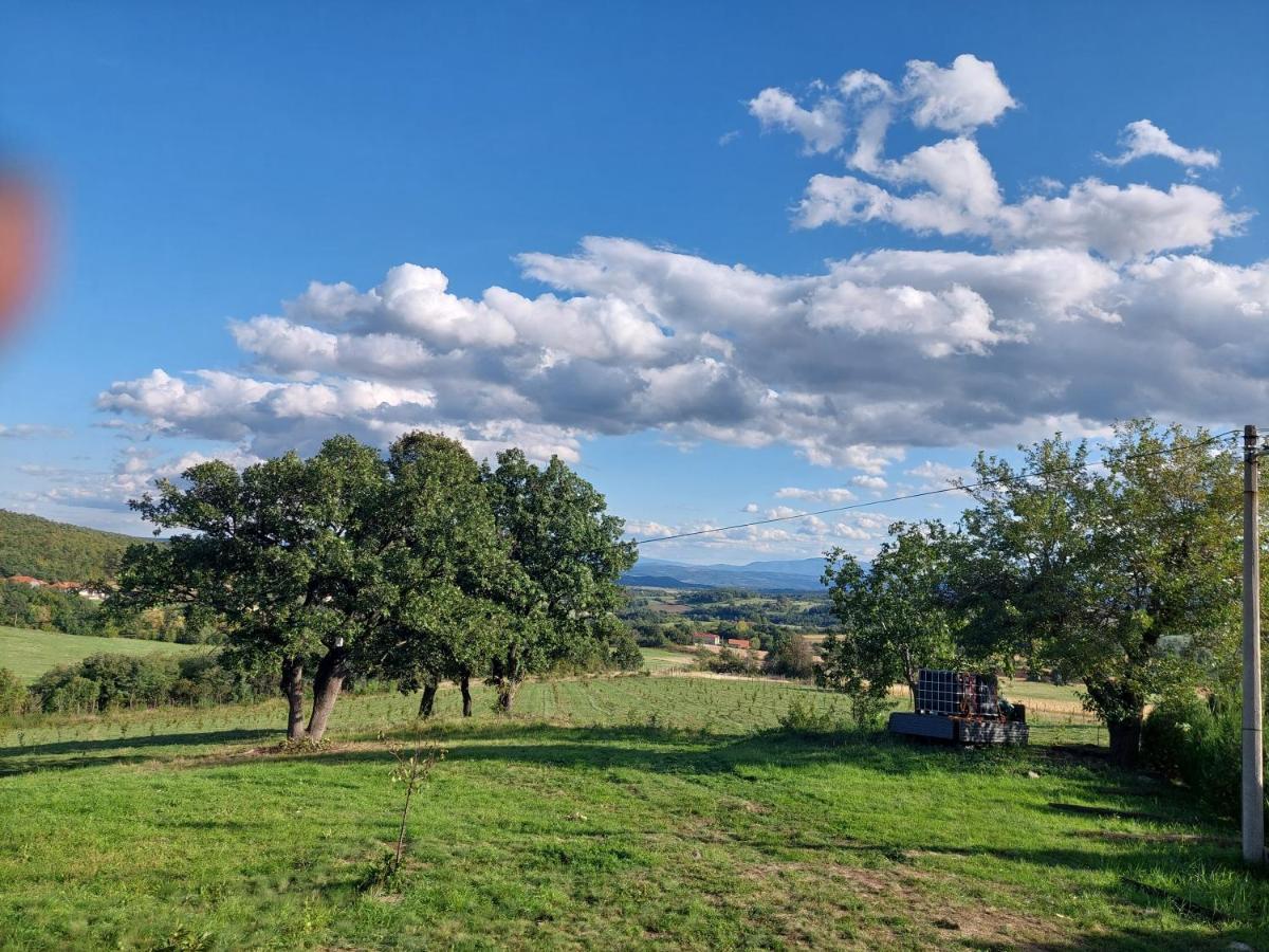 Vila Boba Bor Zlot Dış mekan fotoğraf
